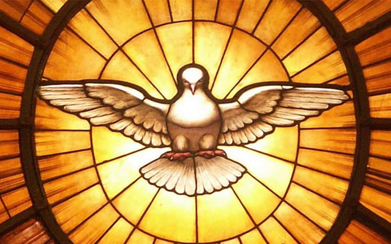 Dove