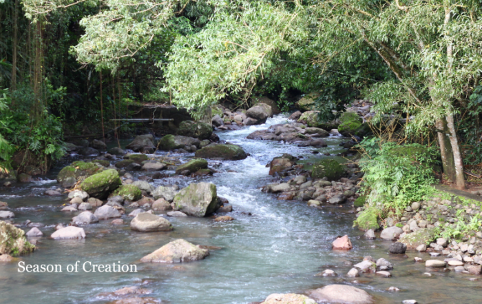 Image of a stream