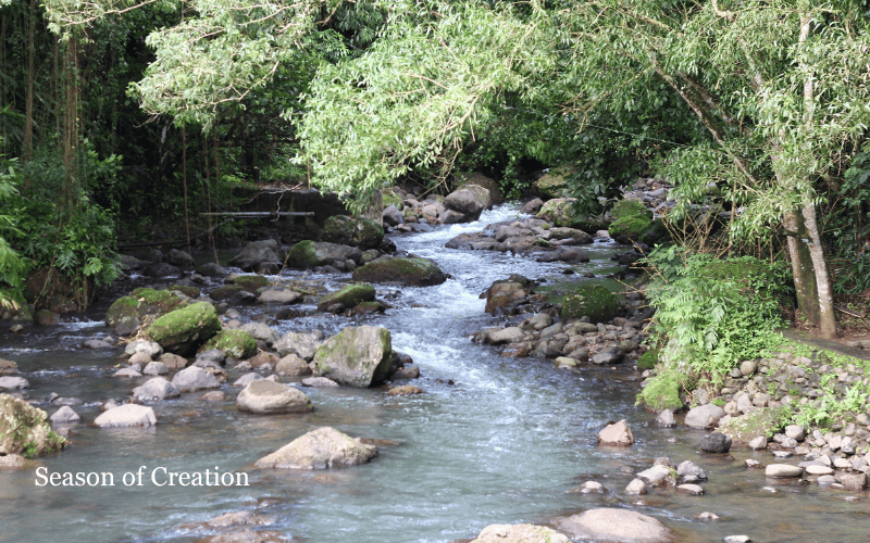 Image of a stream